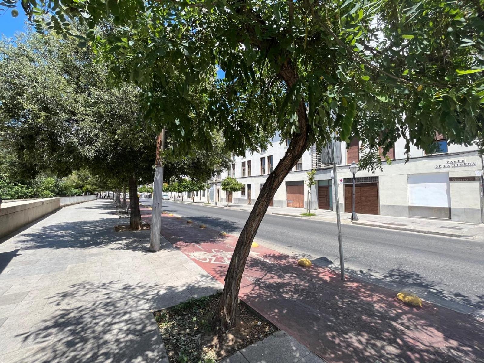 Appartamento Casa Paseo De La Ribera 32